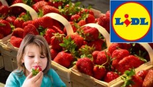 Allarme dolcezza: fragole a prezzo SHOCK da Lidl questa settimana! (-33%)
